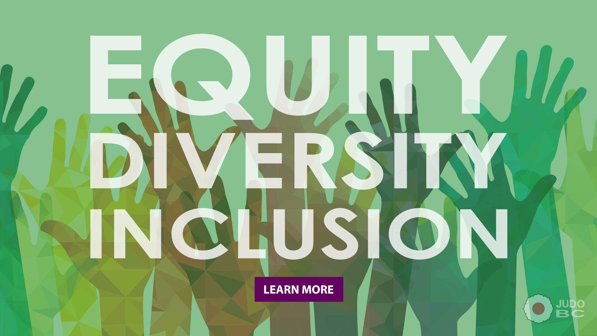 Equity Diversity Inclusion